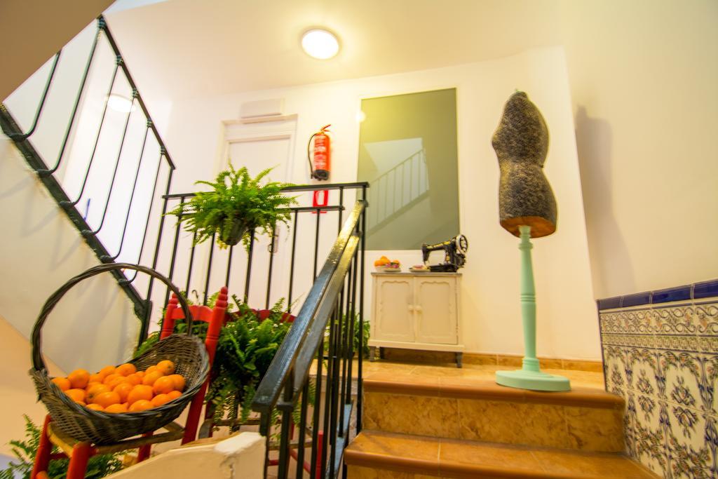 Guest house San Jose